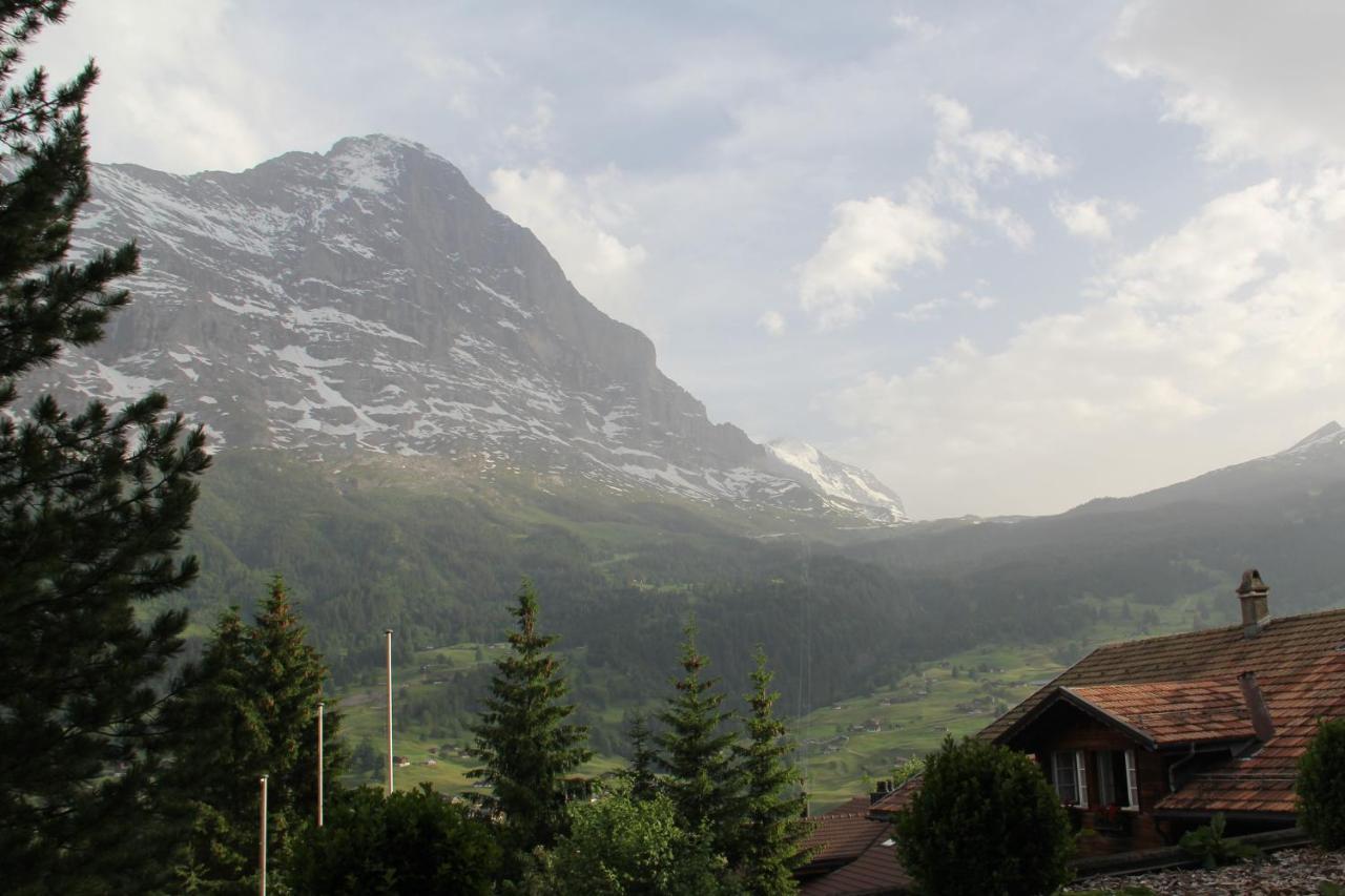 Elements Lodge Grindelwald Eksteriør billede