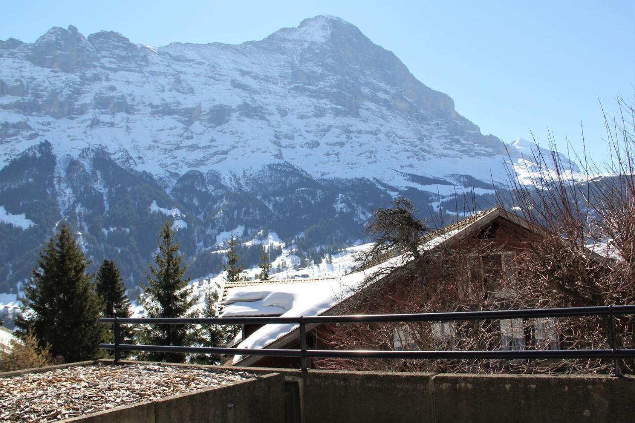 Elements Lodge Grindelwald Eksteriør billede